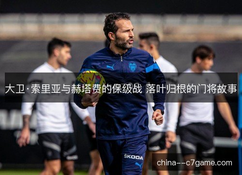 大卫·索里亚与赫塔费的保级战 落叶归根的门将故事